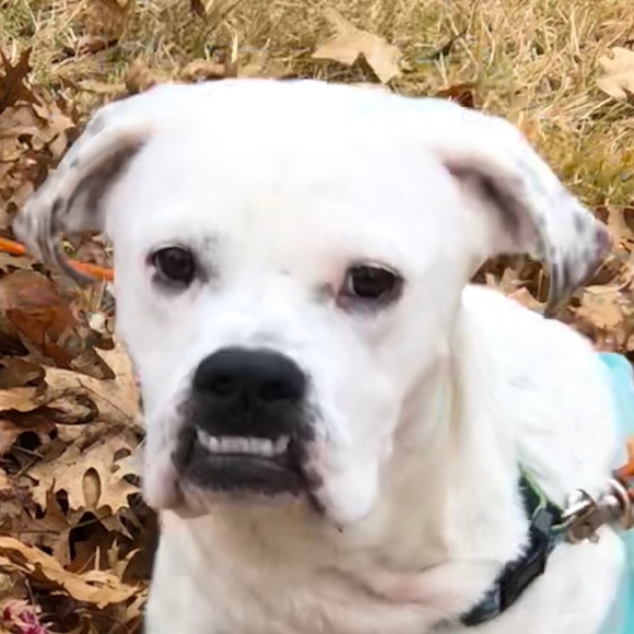 Meet your Posher, Hannah - Picture 3 of 3